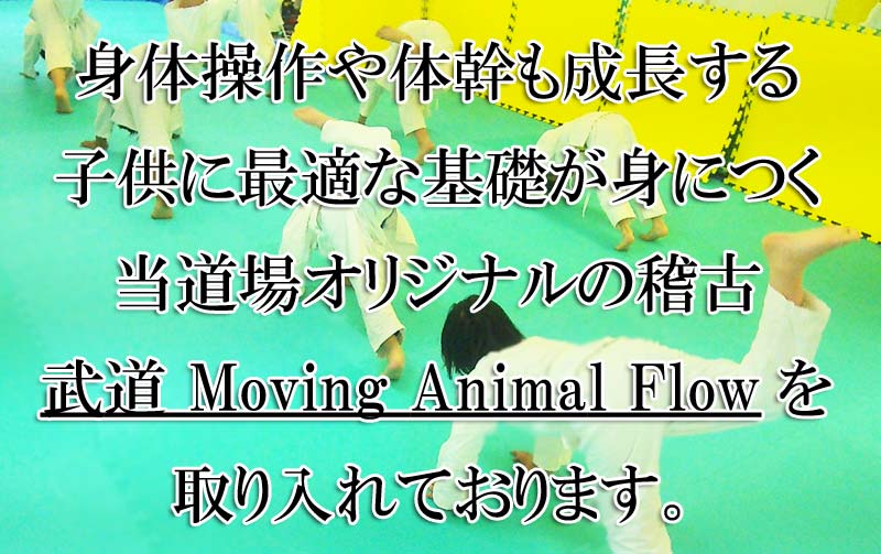 武道 Moving Animal Flow 写真画像